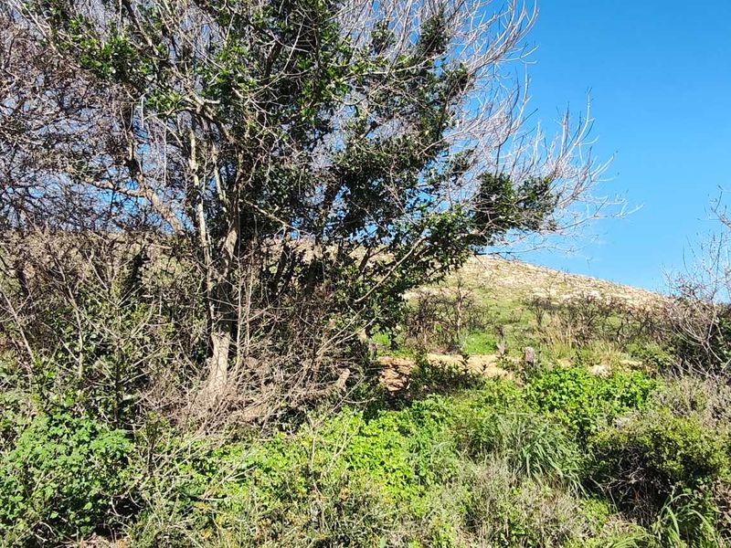 North facing plot in popular enclave - Photo 8