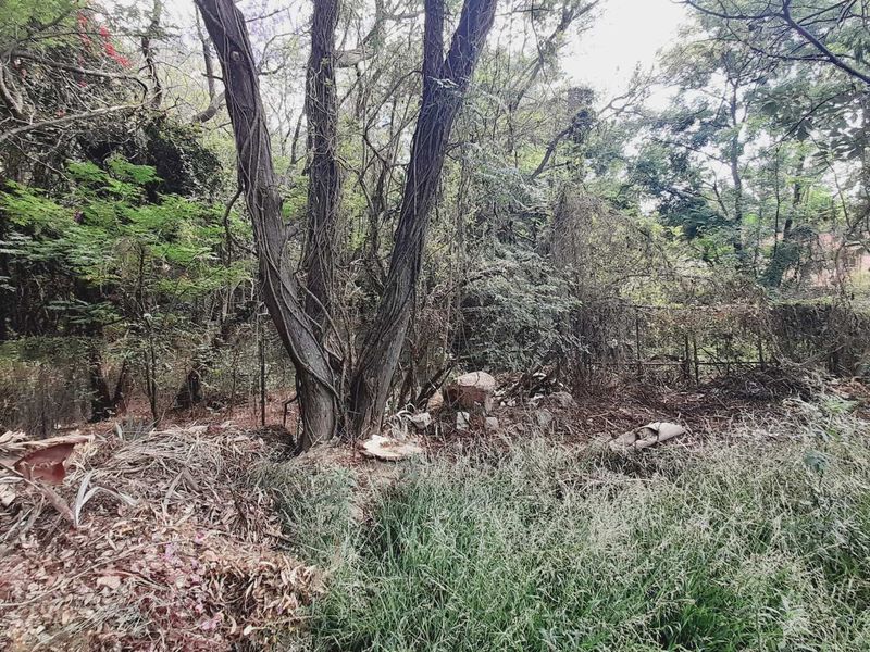 Tranquil & Convenient: Your Future Starts Here - Photo 4