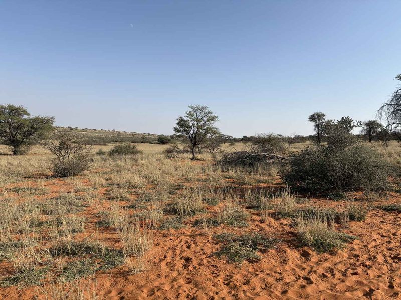 A wide-angle view of the expansive, arid farm landscape featuring native shrubs and trees under a clear sky.