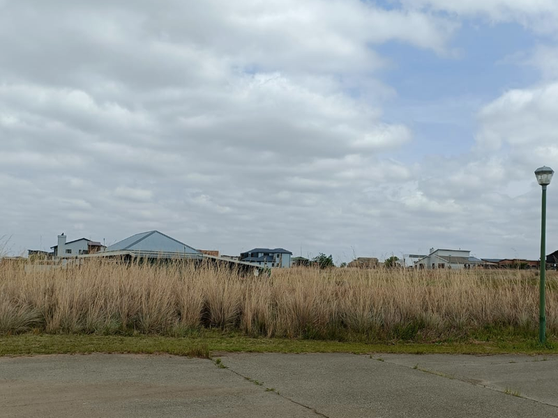 Vacant Land. - Photo 4