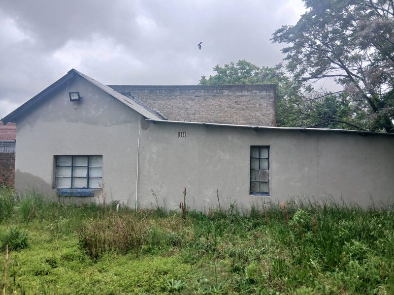 Rear view of the property showing a cement plastered exterior with steel frame windows and overgrown garden area requiring maintenance.