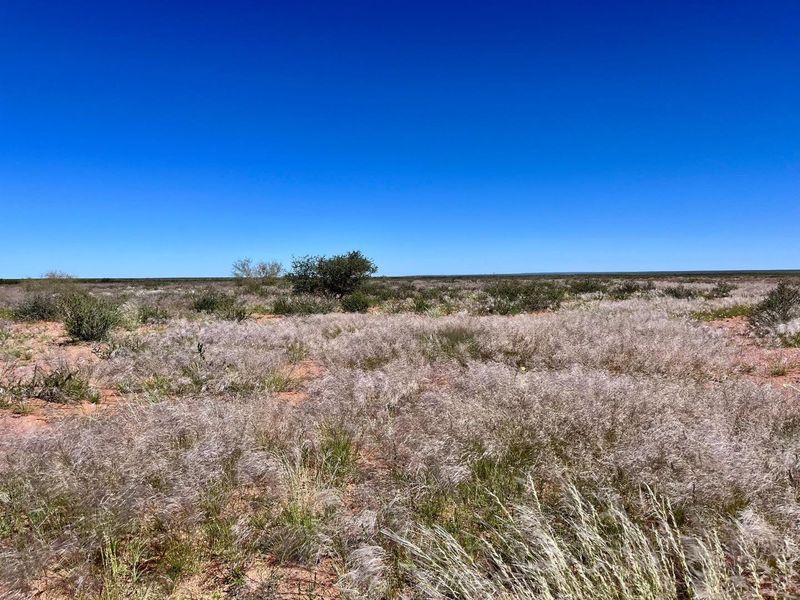 A fam for  sales in Klein Aub - Photo 10