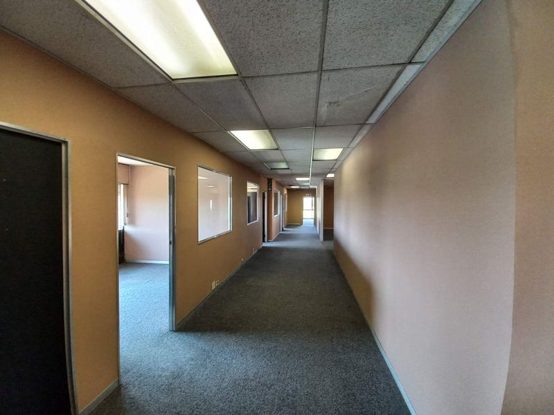 A long office corridor featuring carpeted flooring, suspended acoustic ceiling tiles with recessed lighting, and multiple internal office access points with glass partitions.