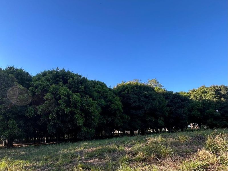 Exclusive Mandate: Stunning Prime Farm with Idyllic River Frontage Just a Stone's Throw from Tzaneen - Photo 3