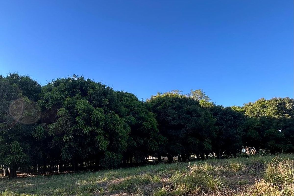 Exclusive Mandate: Stunning Prime Farm with Idyllic River Frontage Just a Stone's Throw from Tzaneen - Photo 3