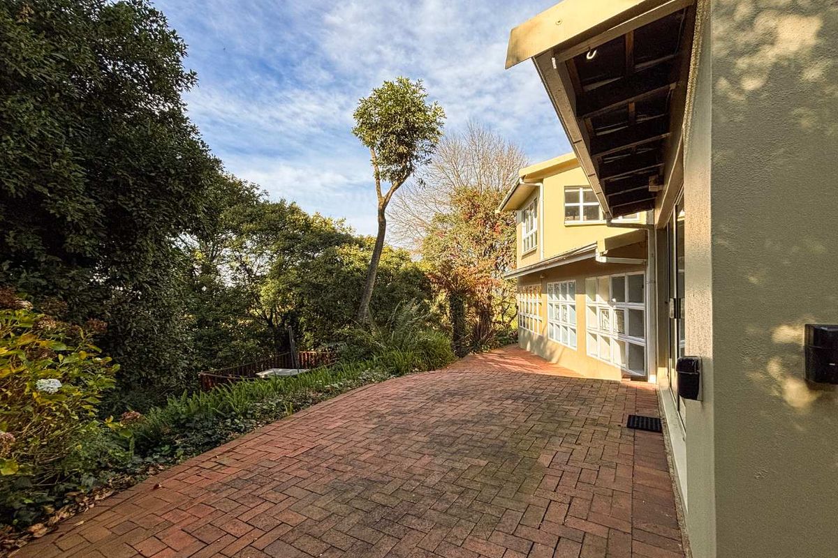 A paved rear patio area adjacent to the house, featuring established garden surroundings and direct access to the interior living spaces.