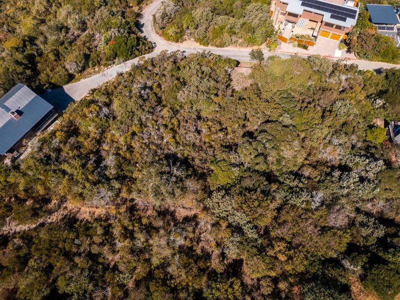 BUILD YOUR DREAM HOME IN CONSTANTIA KLOOF, WILDERNESS - Photo 4