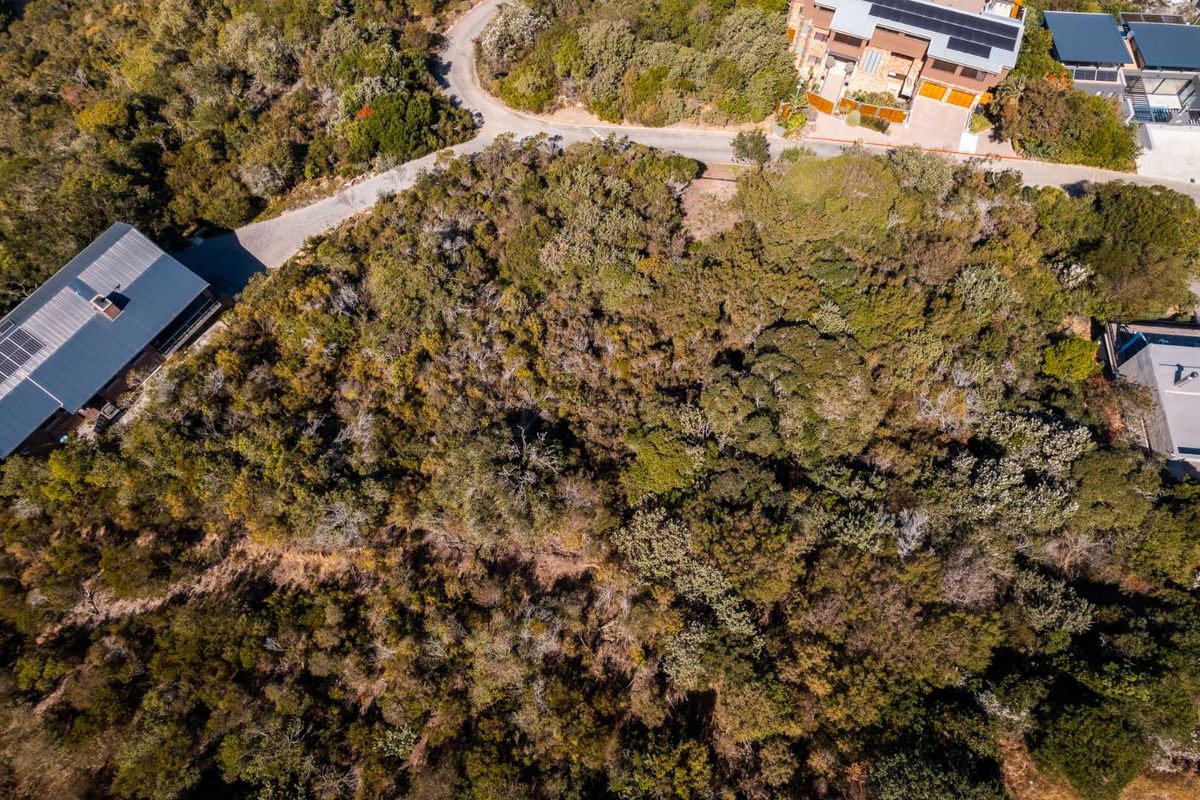 BUILD YOUR DREAM HOME IN CONSTANTIA KLOOF, WILDERNESS - Photo 4