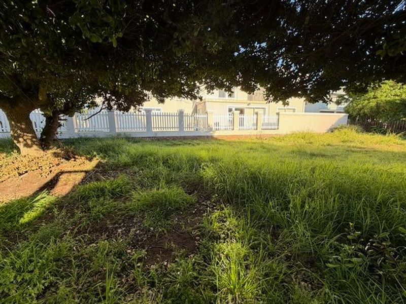 A view of a residential plot featuring a large mature tree, overgrown grass, and a perimeter wall with a white picket fence.