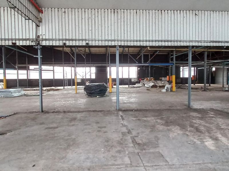 Large open-plan industrial warehouse space featuring high ceilings, exposed steel structural columns, and durable concrete flooring, suitable for various commercial or manufacturing operations.
