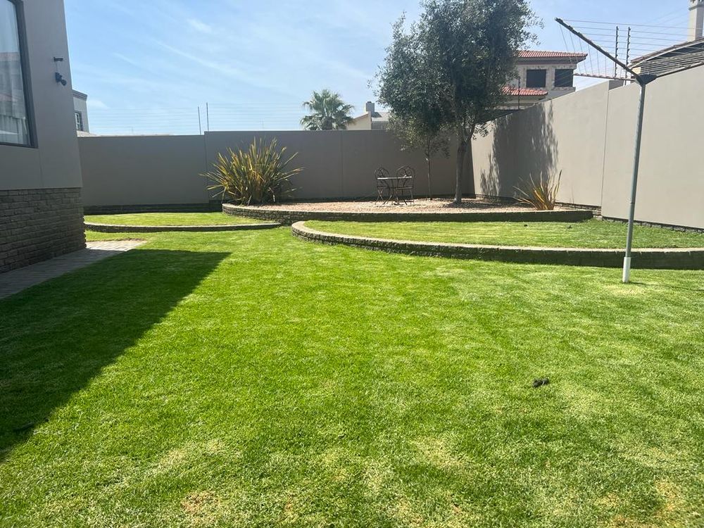 Lawn at the back of the house