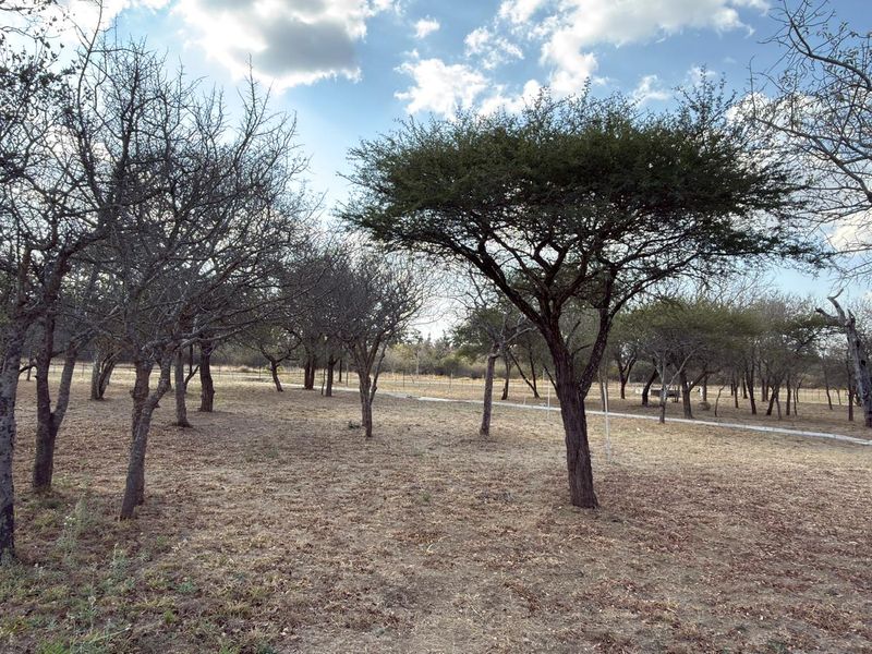 A view of a vacant commercial land plot featuring mature trees and perimeter wire fencing.