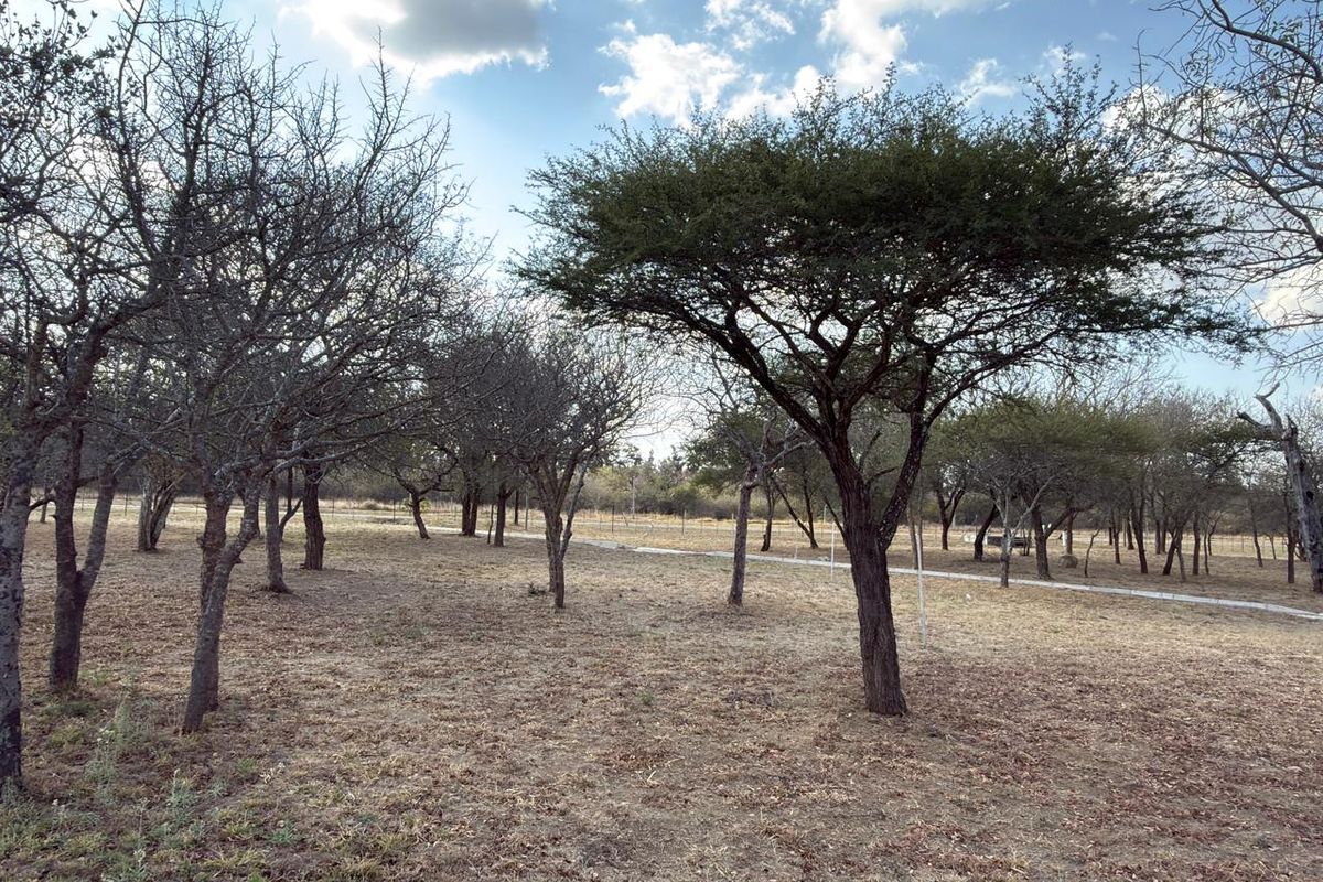 A view of a vacant commercial land plot featuring mature trees and perimeter wire fencing.