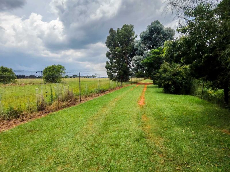 Expansive open land on a small holding featuring established trees, a wire perimeter fence, and a natural grass track.