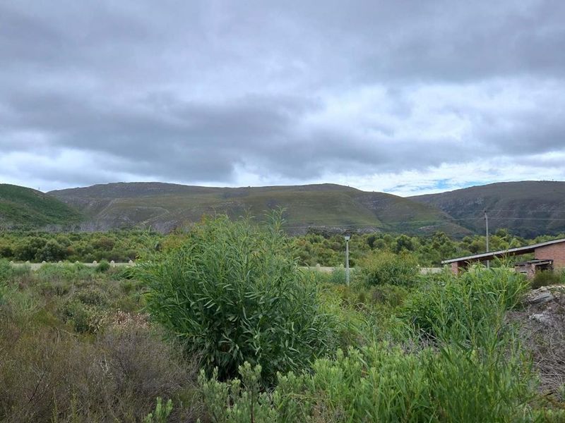 Level 924m2 Land in Peaceful Franskraal – Perfect Investment Opportunity. - Photo 4