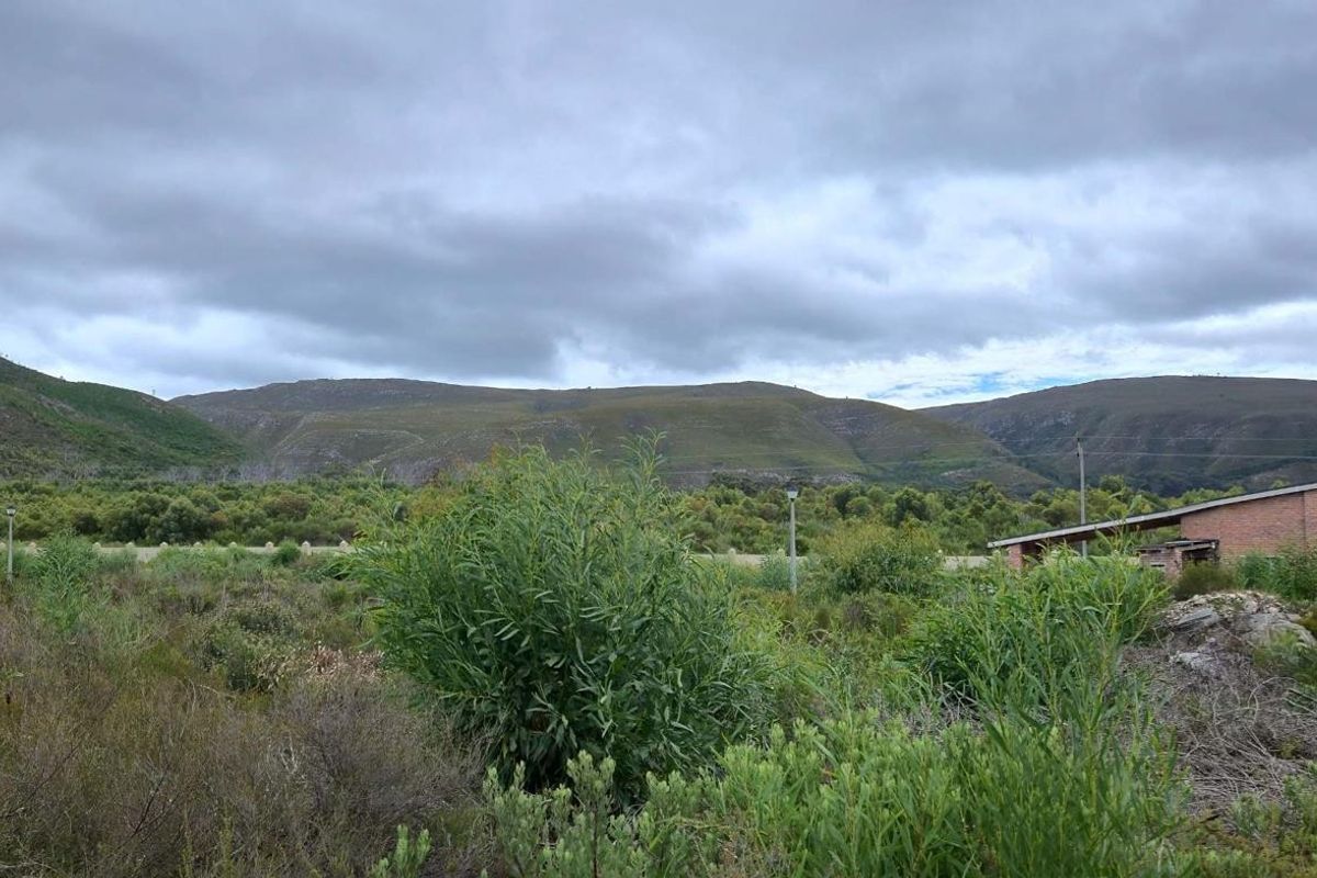 Level 924m2 Land in Peaceful Franskraal – Perfect Investment Opportunity. - Photo 4