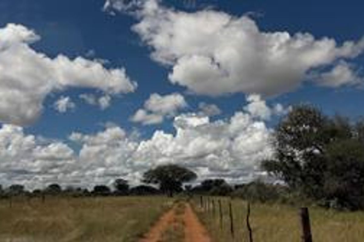 Discover this incredible 4500ha farm offering a perfect blend of modern infrastructure, abundant water resources, and rich wildlife - Photo 3