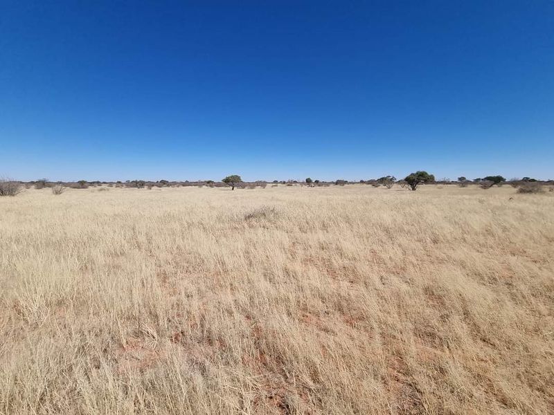 GORGEOUS CATTLE / SHEEP / GAME FARM FOR SALE IN STAMPRIET - Photo 6