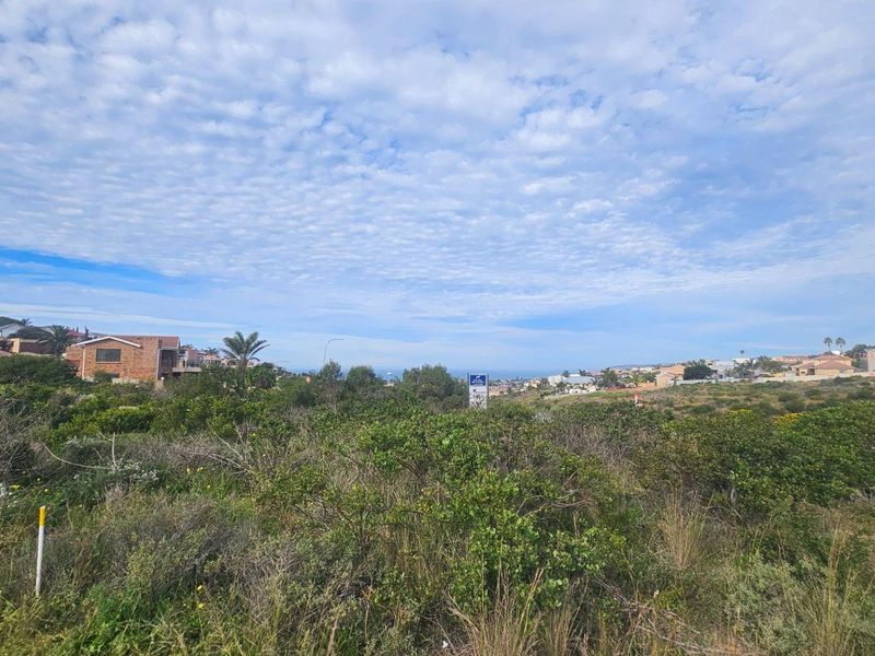 A wide-angle view of a vacant residential plot featuring natural vegetation with surrounding neighborhood homes in the distance.
