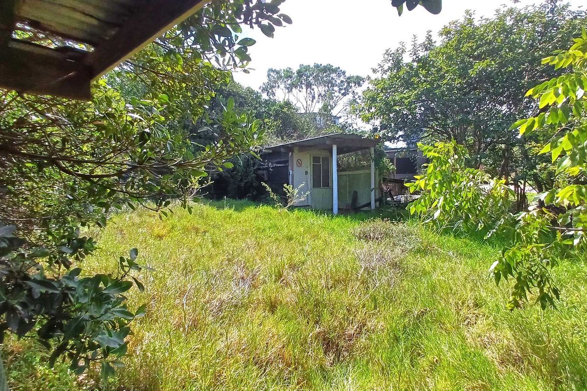 1195sqm vacant stand with established biogas digester and 2 rain water tanks - Photo 5