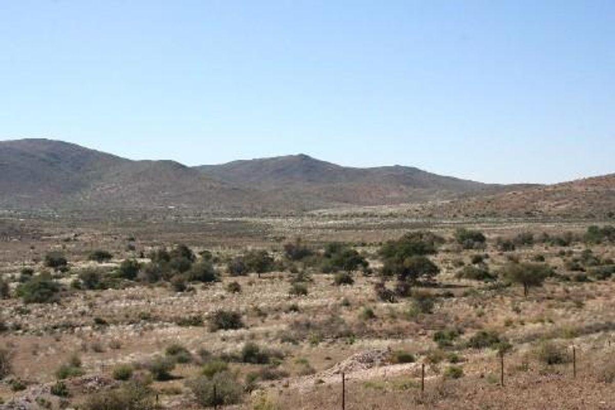 CATTLE / SHEEP / GAME FARMS FOR SALE KARAS REGION - Photo 3