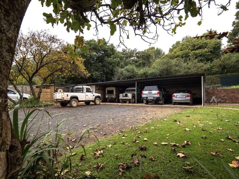 Boutique Country Living Meets Business Opportunity in the Heart of Balgowan - Photo 8