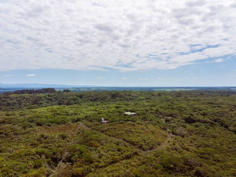 One of the Last Coastal Development Opportunities in Seaview | 25ha with Planning Work Already Done - Photo 2