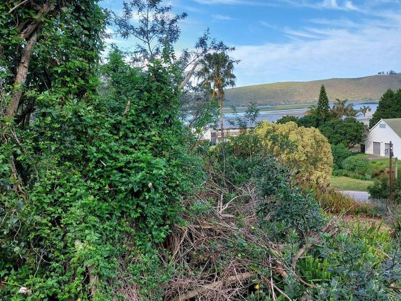 Vacant Land in Paradise - Photo 2