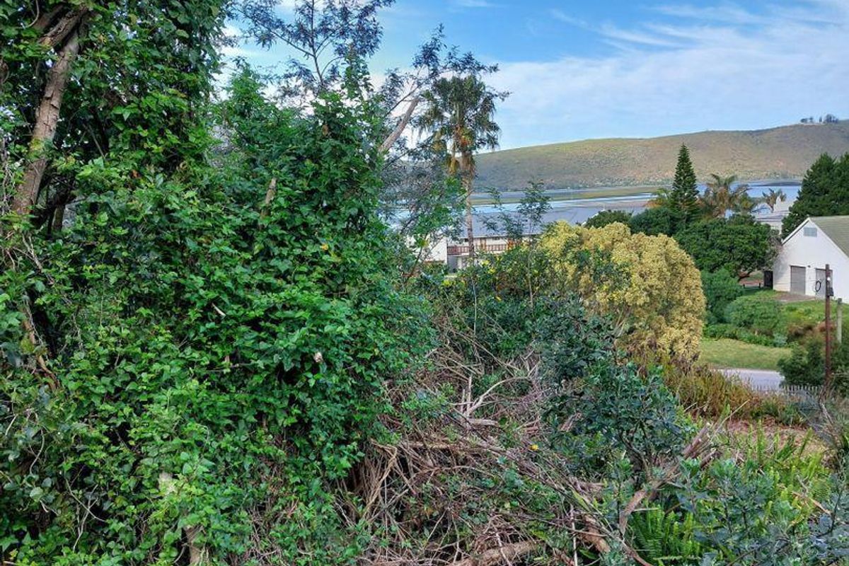 Vacant Land in Paradise - Photo 2