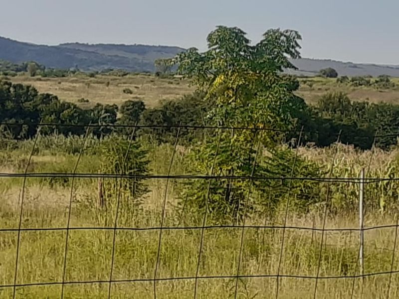 8.9 HECTARE SMALLHOLDING NEXT TO JUKSKEI RIVER AND CLOSE TO LANSERIA AIRPORT FOR SALE - Photo 2