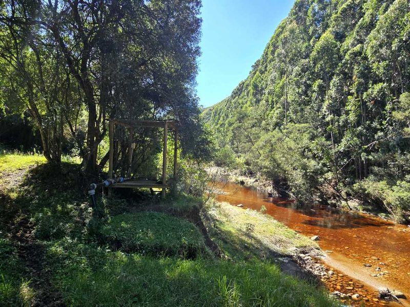 Spectacular Ruiterbos Farm with River Frontage & Panoramic Views - Photo 4