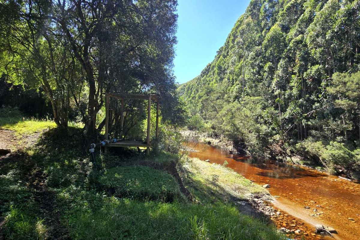 Spectacular Ruiterbos Farm with River Frontage & Panoramic Views - Photo 4