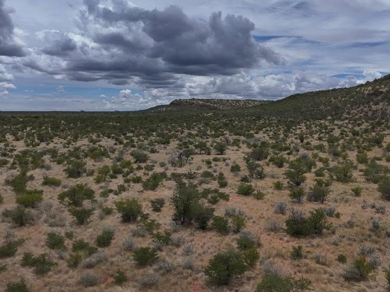 Expansive aerial view of the natural farm landscape featuring rolling hills and native vegetation under a cloudy sky.