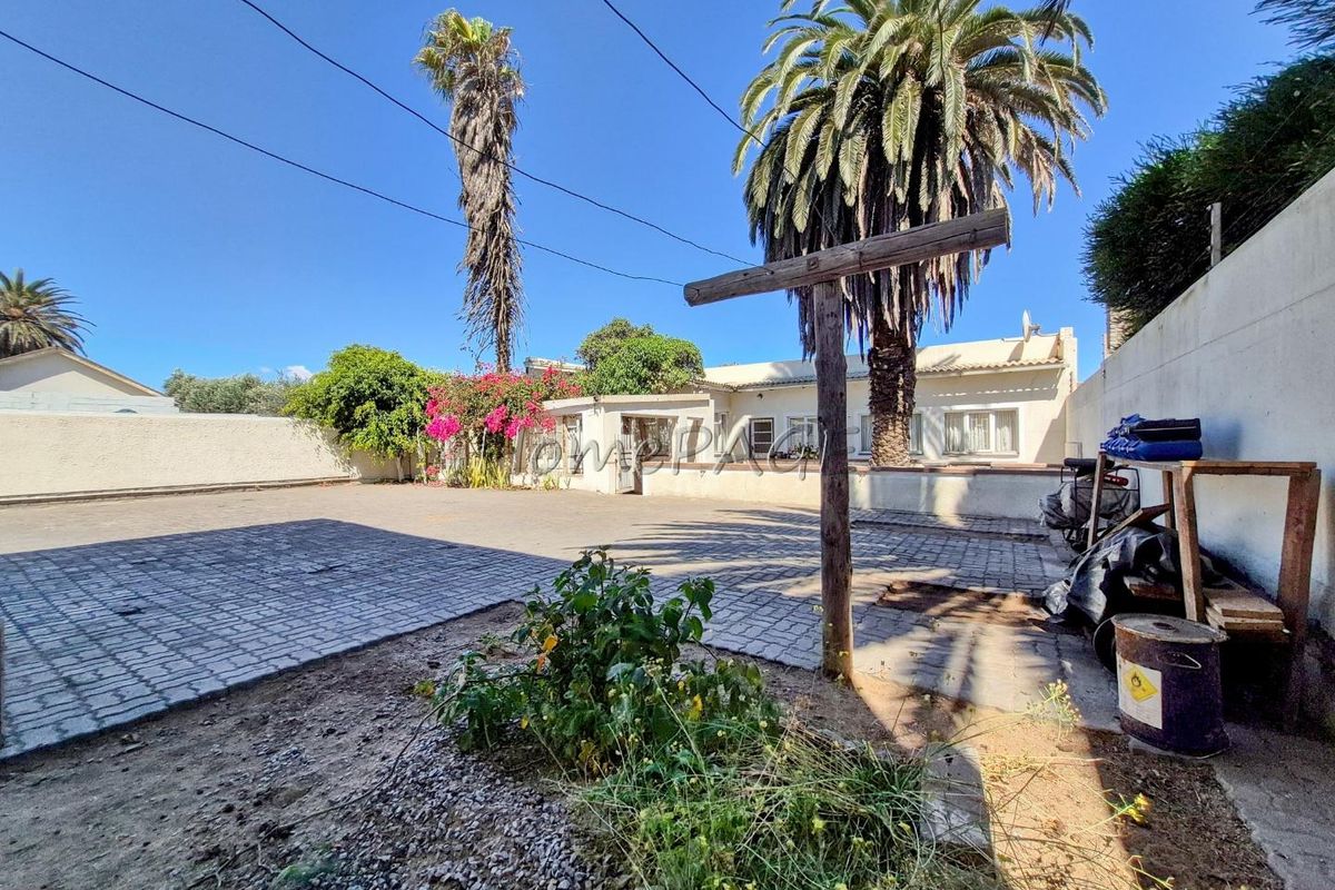 A spacious paved rear courtyard area featuring a large palm tree, boundary walls, and a traditional wooden washing line structure.