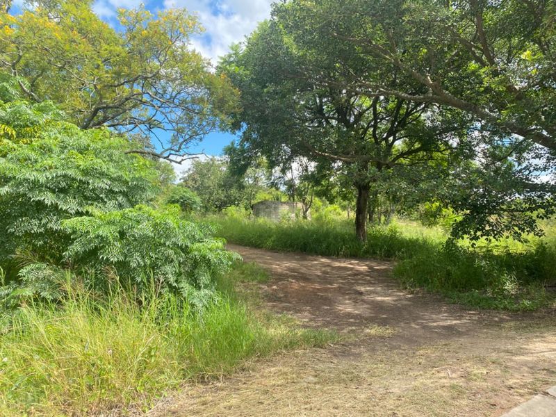 Beautiful stand for sale! - Photo 2