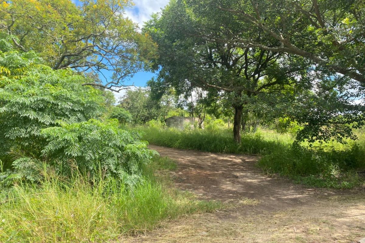 Beautiful stand for sale! - Photo 2