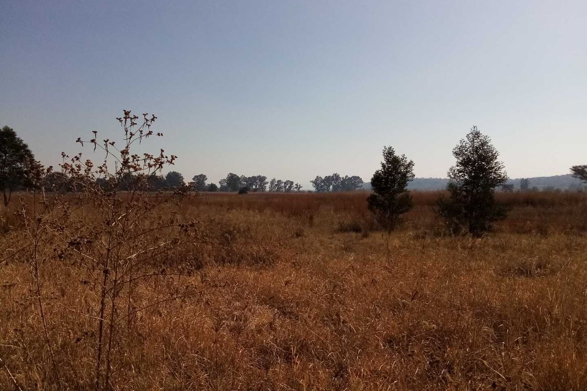 12 HECTARE VACANT LAND FOR COMMERCIAL DEVELOPMENT FOR SALE IN SHERE - JUST OFF GRAHAM ROAD - Photo 2