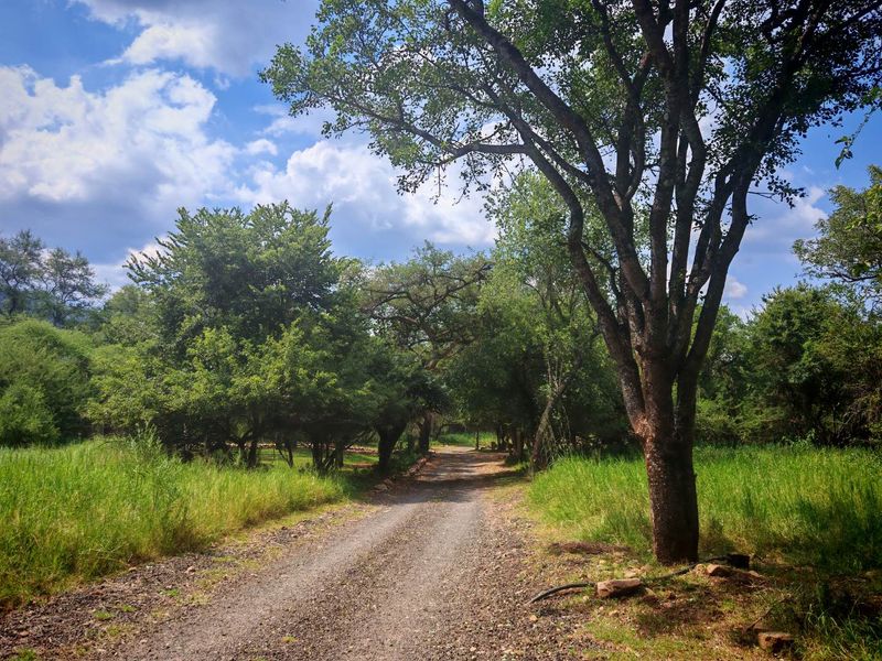 Vacant Stand in Sharalumbi Wildlife Estate - Photo 2