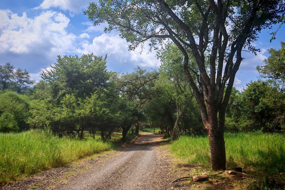 Vacant Stand in Sharalumbi Wildlife Estate - Photo 2