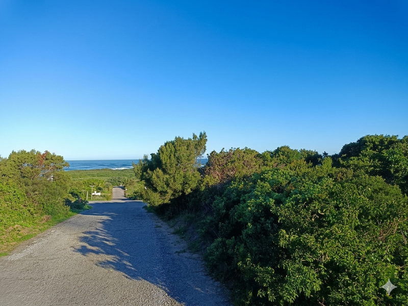 A view of a paved road leading towards the coastline, surrounded by natural coastal vegetation under a clear blue sky.