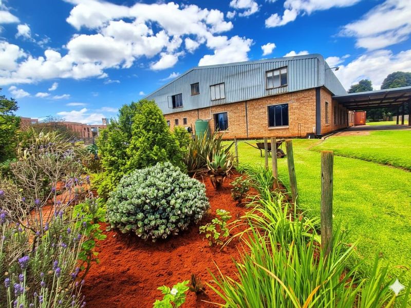 Warehouse + Farm House 20,000m2 agricultural property - Photo 2