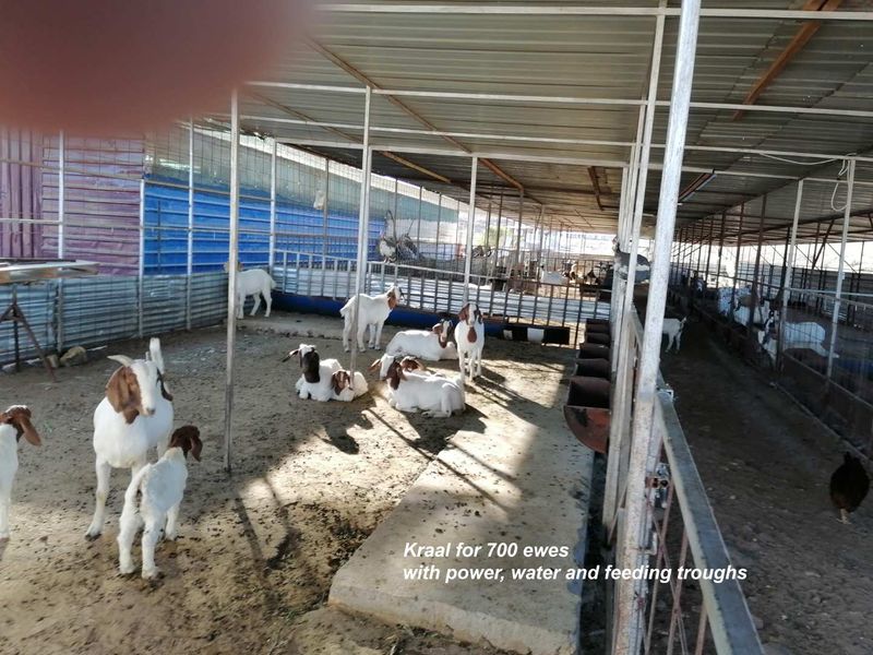 Usakos: Smallholding with Intensive Sheep Farming Unit - Photo 3