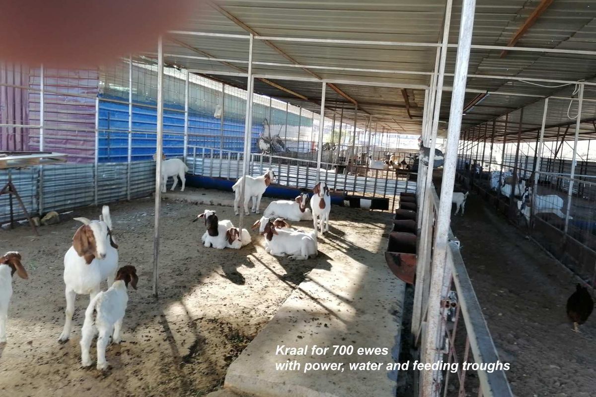 Usakos: Smallholding with Intensive Sheep Farming Unit - Photo 3