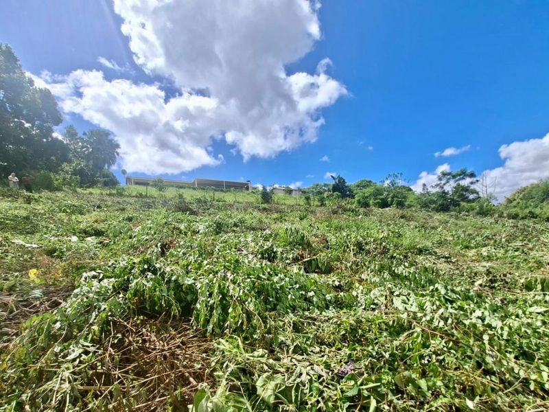 Prime Vacant Land Opportunity - Photo 4