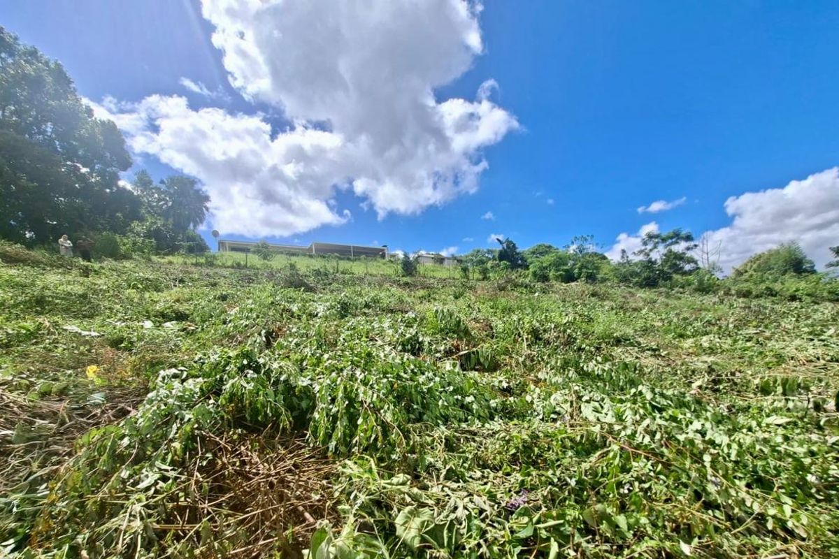 Prime Vacant Land Opportunity - Photo 4