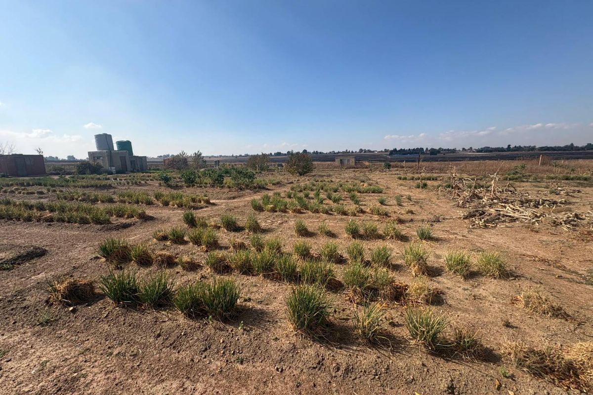 10 Hectares of Prime Land with Development Potential - Photo 5