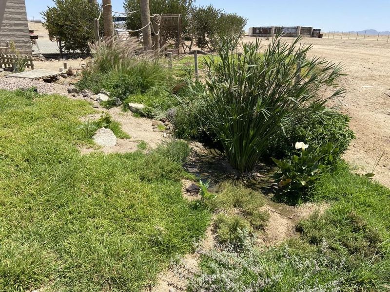 SWAKOP PLOT CALLING YOUNG FARMERS - Photo 6