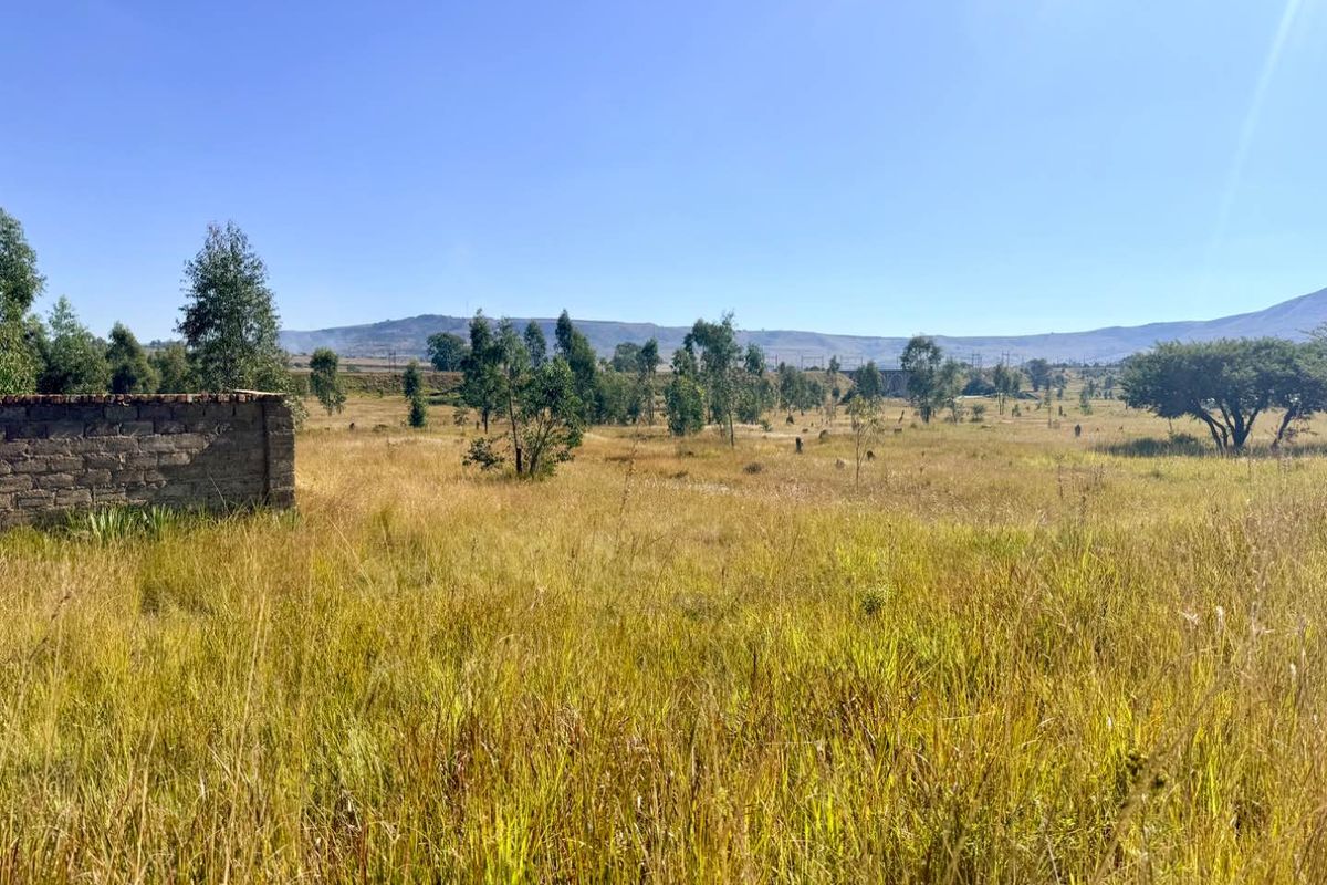 Commercial Property for sale 5 kilometers from Vryheid - Photo 4