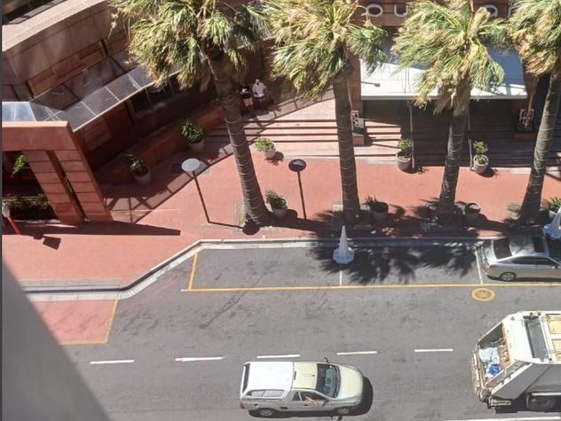 An elevated aerial view of the office building exterior, featuring a paved pedestrian walkway, mature palm trees, and adjacent street access.