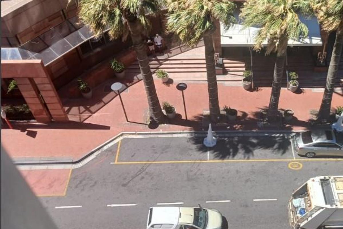 An elevated aerial view of the office building exterior, featuring a paved pedestrian walkway, mature palm trees, and adjacent street access.
